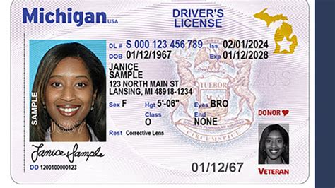 state of michigan plastic card